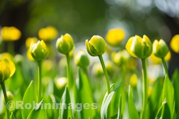 _DSC9700 160213