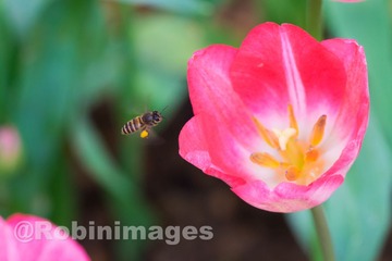 _DSC9744 160213