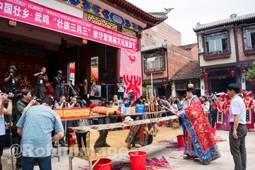 _DSC4180 160408