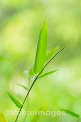 _DSC3753 160407