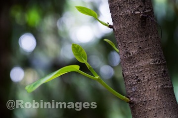 _DSC3784 160407
