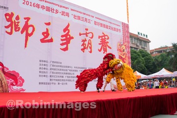 _DSC4574 160408
