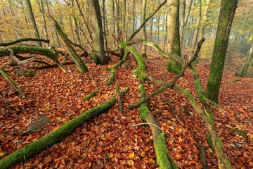 _DSC0536 160709