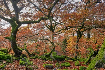 _DSC0544 160709