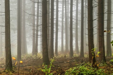 _DSC0239 160709