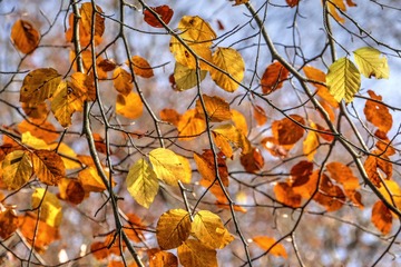 _DSC0264 160709