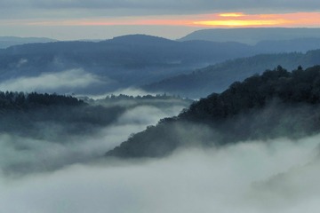 _DSC0295 160709