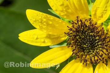 _DSC2847 160907