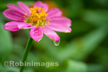 _DSC2872 160907