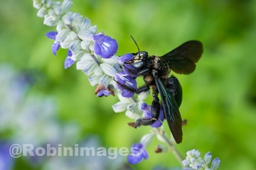 _DSC2906 160907