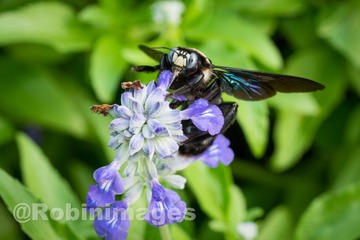 _DSC3052 160907