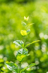 _DSC3273 160913