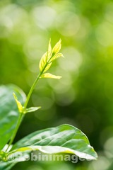 _DSC3287 160913