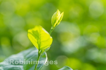 _DSC3297 160913