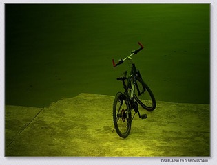 _DSC3813 -1.jpg