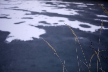 P1030418
