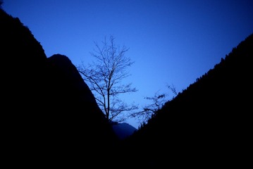 P1030681