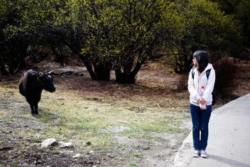 P1050403-35