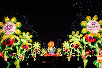 20120125-P1010773