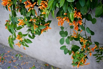 20120317-P1020132