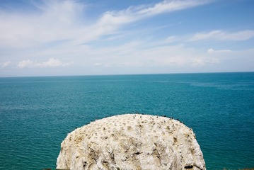 20130812-P1090370