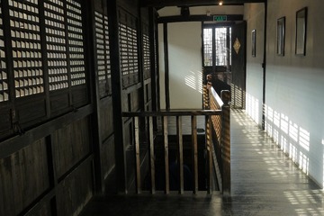 桂花10