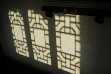 桂花11