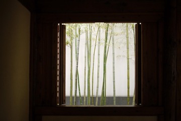 桂花12