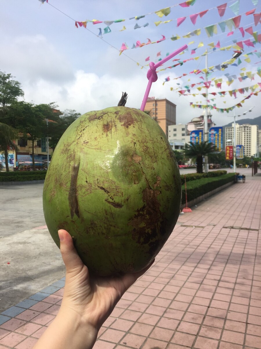 十二月份国内有榴莲吗