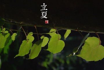 立夏.jpg