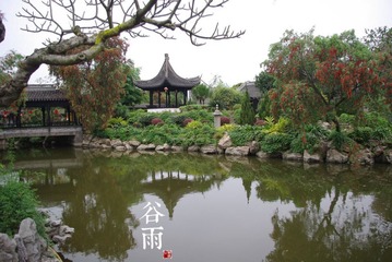 谷雨.jpg