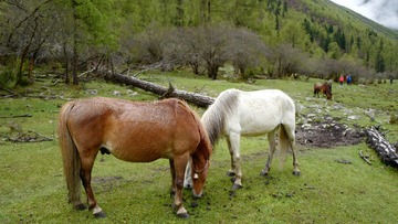 1496082793_IMG_1091
