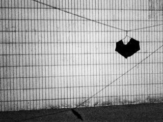 C360_2012-02-01-23-14-33_org