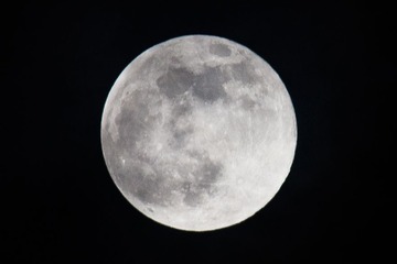 IMG_5741.JPG