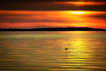 IMG_9752修改2.jpg