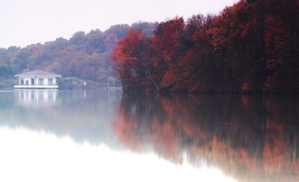 2015.11.14摄于南京紫金山庄。
