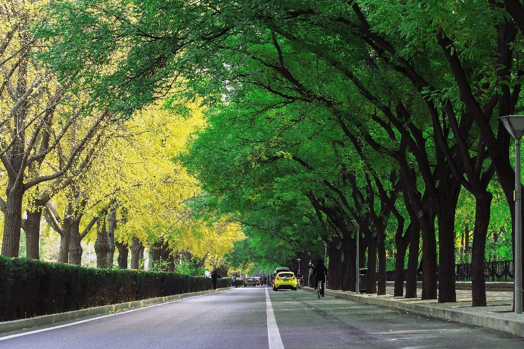 2014.11摄于北京钓鱼台。