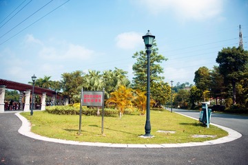 IMG_2668 _