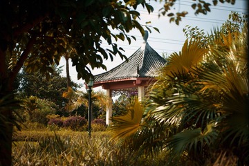 IMG_2729 _