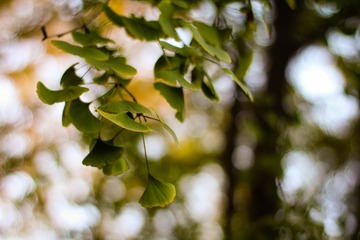 20151102-IMG_6997