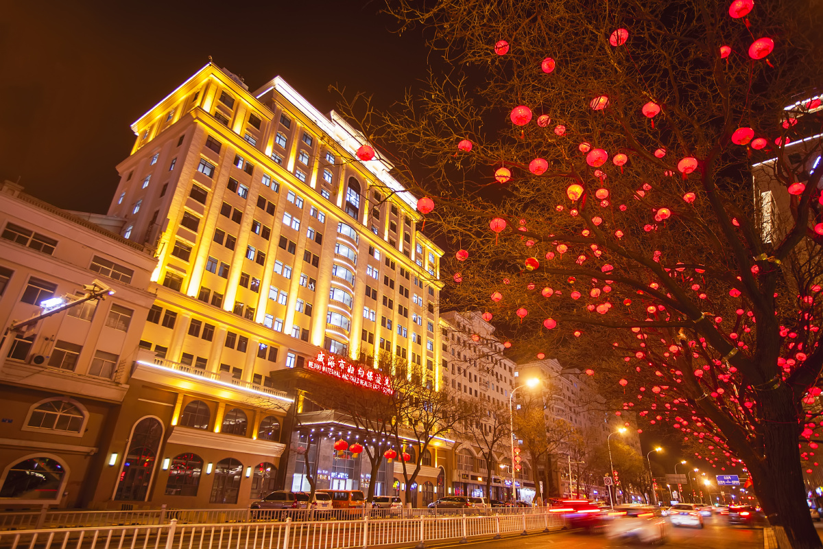 红灯枝头春意闹