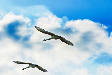 762401