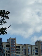 1000095610