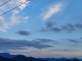 1000091341