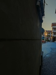 1000095161