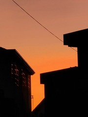 1000102556
