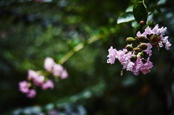 PICT0371