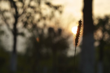 PICT0126