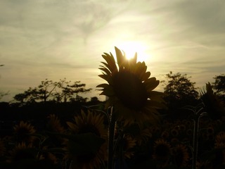 4D6B427B-35B3-4D05-8609-EBC148D4D8A5/L0/001