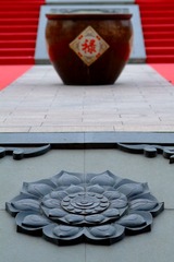 DSCF3224_